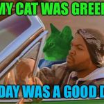 No Radiation Today | MY CAT WAS GREEN; TODAY WAS A GOOD DAY | image tagged in driving raycat,memes,today was a good day | made w/ Imgflip meme maker