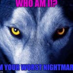 wolf | WHO AM I!? I'M YOUR WORST NIGHTMARE! | image tagged in wolf | made w/ Imgflip meme maker