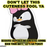 Pittsburgh Penguins | DON'T LET THIS CUTENESS FOOL YA; BECAUSE CAPITALS WE ARE STILL GONNA KICK YOUR BUTT... LET'S GO PENS!!! | image tagged in pittsburgh penguins | made w/ Imgflip meme maker