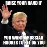 Trump Raising Hand | RAISE YOUR HAND IF; YOU WANT A RUSSIAN HOOKER TO PEE ON YOU | image tagged in trump raising hand | made w/ Imgflip meme maker