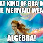 Bad mermaid pun | WHAT KIND OF BRA DOES THE  MERMAID WEAR? ALGEBRA! | image tagged in mermaid,bad pun,pun,funny meme | made w/ Imgflip meme maker