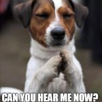 pet prayer | PLEASE LISTEN... CAN YOU HEAR ME NOW? LEARNHOWTOTALKTOANIMALS.COM | image tagged in pet prayer | made w/ Imgflip meme maker