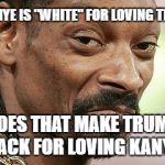 Snoop Dogg Approves | IF KANYE IS "WHITE" FOR LOVING TRUMP; DOES THAT MAKE TRUMP BLACK FOR LOVING KANYE? | image tagged in snoop dogg approves | made w/ Imgflip meme maker