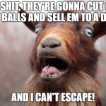 Yes, freak out little goat, cause the time is near. | OH SHIT, THEY'RE GONNA CUT OFF MY BALLS AND SELL EM TO A DELI! AND I CAN'T ESCAPE! | image tagged in ain't afraid of no goat | made w/ Imgflip meme maker