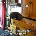 Pixie  | Was it the chicken or the beef? | image tagged in pixie | made w/ Imgflip meme maker
