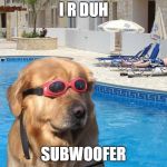 doggo | I R DUH; SUBWOOFER | image tagged in doggo | made w/ Imgflip meme maker