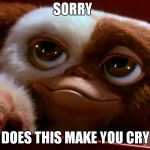 Gremlins | SORRY; DOES THIS MAKE YOU CRY | image tagged in gremlins | made w/ Imgflip meme maker