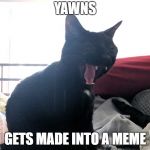 Laughing Murr | YAWNS; GETS MADE INTO A MEME | image tagged in laughing murr | made w/ Imgflip meme maker