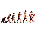 Evolution or Genealogy