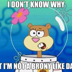 Sandy the non-brony (Tomboy week, a What_Is_A_Family_Undertale event) | I DON'T KNOW WHY; BUT I'M NOT A BRONY LIKE DASH | image tagged in tomboy week,dashhopes,brony,mlp,sandy from spongebob,sandy cheeks | made w/ Imgflip meme maker