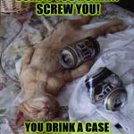 DRUNK KITTY | SCREW YOU HUMAN! SCREW YOU! YOU DRINK A CASE A NIGHT YOU HYPOCRITE! | image tagged in drunk kitty | made w/ Imgflip meme maker