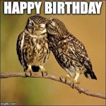 kissing owls | HAPPY BIRTHDAY | image tagged in kissing owls | made w/ Imgflip meme maker