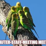 The Meeting | THE AFTER-STAFF-MEETING MEETING | image tagged in the meeting | made w/ Imgflip meme maker