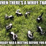 skunk meeting | WHEN THERE'S A WHIFF THAT; THEY ALREADY HAD A MEETING BEFORE YOU ARRIVED | image tagged in skunk meeting | made w/ Imgflip meme maker