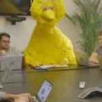 Big Bird at Meeting meme