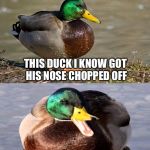 Bad Pun Duck | THIS DUCK I KNOW GOT HIS NOSE CHOPPED OFF; HE SAID IT WAS DEBILITATING | image tagged in bad pun duck,memes,funny,funny animals,cute animals | made w/ Imgflip meme maker