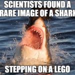 Travelonshark | SCIENTISTS FOUND A RARE IMAGE OF A SHARK; STEPPING ON A LEGO | image tagged in memes,travelonshark | made w/ Imgflip meme maker