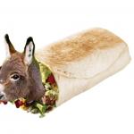 burrito