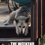 Weekend over  | WHEN YOU REALIZE; THE WEEKEND IS OVER | image tagged in weekend over | made w/ Imgflip meme maker