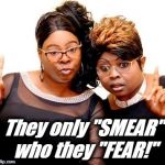 Diamond and Silk | They only "SMEAR" who they "FEAR!" | image tagged in diamond and silk | made w/ Imgflip meme maker