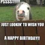 Peering horse | PSSSST!!!!! JUST LOOKIN' TO WISH YOU; A HAPPY BIRTHDAY!! | image tagged in peering horse | made w/ Imgflip meme maker