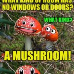 Mushroom Jokes (A reallyitsjohn template) My Childhood Joke | WHAT KIND OF ROOM HAS NO WINDOWS OR DOORS? WHAT KIND? A MUSHROOM! | image tagged in mushroom joke,jokes,reallyitsjohn,fungi,bad puns,mushrooms | made w/ Imgflip meme maker