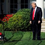 Trump mower