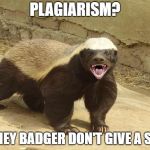 Honey Badger Gives A Shit | PLAGIARISM? HONEY BADGER DON'T GIVE A SHIT | image tagged in honey badger gives a shit | made w/ Imgflip meme maker
