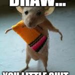 Mexican mouse | DRAW... YOU LITTLE SHIT.. | image tagged in mexican mouse | made w/ Imgflip meme maker