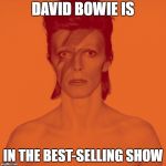 David Bowie Is | DAVID BOWIE IS; IN THE BEST-SELLING SHOW | image tagged in david bowie is,david bowie | made w/ Imgflip meme maker