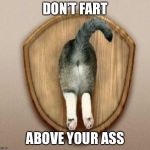 Cat-Ass-Trophy | DON’T FART; ABOVE YOUR ASS | image tagged in cat-ass-trophy | made w/ Imgflip meme maker