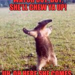 anteater | UH OH, HERE SHE COMES, WATCH OUT, BOY, SHE'LL CHEW YA UP! UH, OH HERE SHE COMES, SHE'S AN ANTEATER! | image tagged in anteater | made w/ Imgflip meme maker