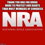 Nra | THANK YOU NRA FOR DOING MORE TO PROTECT OUR RIGHTS THAN MOST MEMBERS OF CONGRESS | image tagged in nra | made w/ Imgflip meme maker
