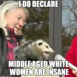 Speach Possum | I DO DECLARE; MIDDLE AGED WHITE WOMEN ARE INSANE | image tagged in speach possum,white people,white woman,creeper,rapist,creepy smile | made w/ Imgflip meme maker