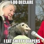 Possum Press Conference on Shitty Diapers | I DO DECLARE; I EAT SHITTY DIAPERS | image tagged in speach possum,shitty,dirty diaper,declaration of independence | made w/ Imgflip meme maker