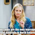 Beth Behrs, Big Bang Theory | Opossums are the only marsupial found naturally in North America. | image tagged in beth behrs big bang theory | made w/ Imgflip meme maker