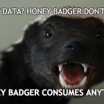 Honey Badger | DIRTY DATA? HONEY BADGER DON'T CARE; HONEY BADGER CONSUMES ANYTHING | image tagged in honey badger | made w/ Imgflip meme maker