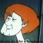 Would you do it for a Scooby snack? meme