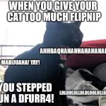 Laughing Murr | WHEN YOU GIVE YOUR CAT TOO MUCH FLIPNIP; AHHBAQHAHAHHAHAHAHAHAH! CAT MARIJUANA! YAY! YOU STEPPED UN A DFURR4! LOLOOLOLLOLOLOOLOLLOOLLO | image tagged in laughing murr | made w/ Imgflip meme maker
