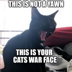 Murr preparing furr war | THIS IS NOT A YAWN; THIS IS YOUR CATS WAR FACE | image tagged in laughing murr | made w/ Imgflip meme maker