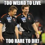 Bomber S Thompson | TOO WEIRD TO LIVE; TOO RARE TO DIE! | image tagged in bomber s thompson | made w/ Imgflip meme maker