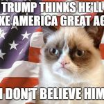 grumpy cat america | TRUMP THINKS HE'LL MAKE AMERICA GREAT AGAIN; I DON'T BELIEVE HIM | image tagged in grumpy cat america | made w/ Imgflip meme maker