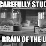 Abby Normal Brain | IGOR CAREFULLY STUDYING; THE BRAIN OF THE LEFT | image tagged in abby normal brain | made w/ Imgflip meme maker