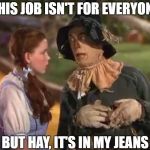 Who Would Have Thought? | THIS JOB ISN'T FOR EVERYONE; BUT HAY, IT'S IN MY JEANS | image tagged in scarecrow and dorothy,memes | made w/ Imgflip meme maker