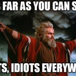 moses | AS FAR AS YOU CAN SEE; IDIOTS, IDIOTS EVERYWHERE | image tagged in moses | made w/ Imgflip meme maker