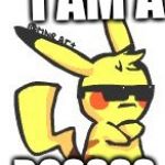 Pikachu swag | I AM A; BOSSSS | image tagged in pikachu swag | made w/ Imgflip meme maker