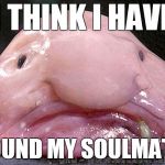 Just one of those weird days | I THINK I HAVE; FOUND MY SOULMATE | image tagged in just one of those weird days | made w/ Imgflip meme maker