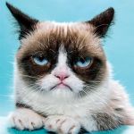 Grumpy Cat | MAKE EVERY WAY; THE WRONG WAY | image tagged in grumpy cat | made w/ Imgflip meme maker