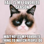 grumpy cat again | FALL IS MY FAVORITE SEASON; WAIT NO ITS MY FAVORITE THING TO WATCH PEOPLE DO | image tagged in grumpy cat again | made w/ Imgflip meme maker