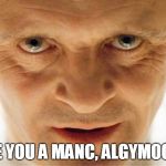 Hannibal | 'ARE YOU A MANC, ALGYMOON?' | image tagged in hannibal | made w/ Imgflip meme maker